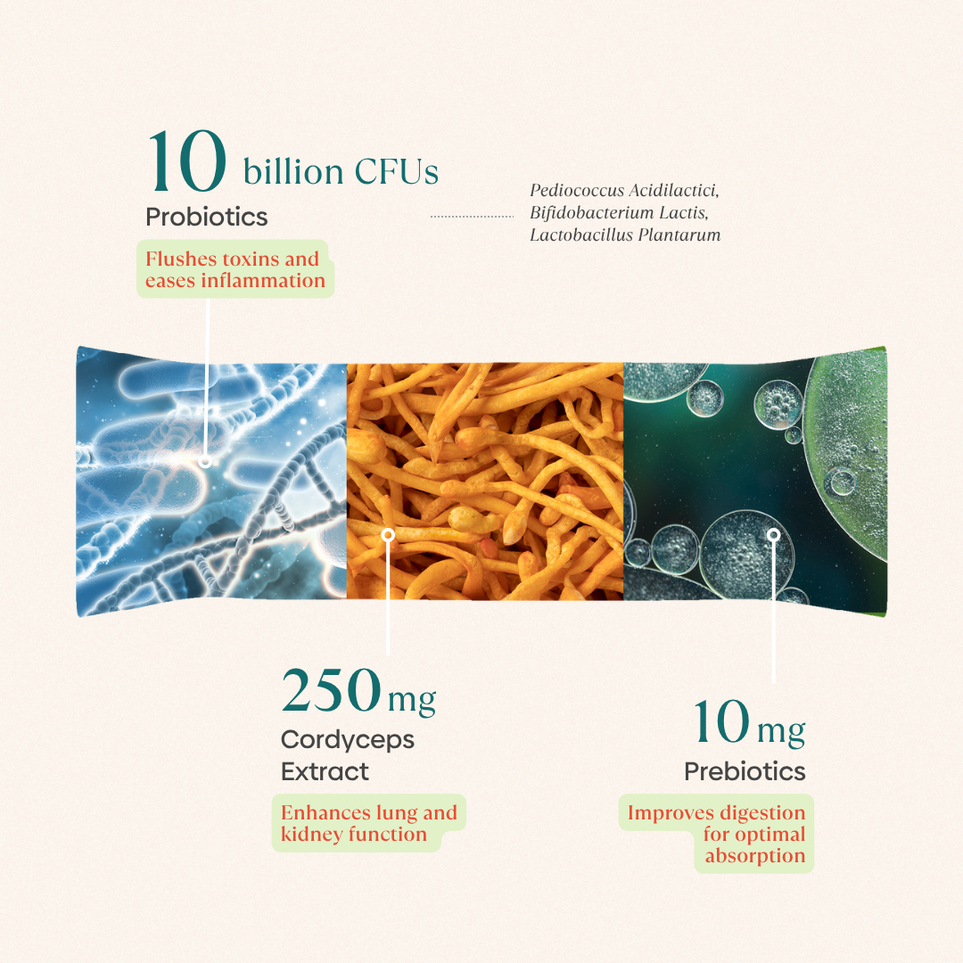 Immunity Pre+Probiotic Melts