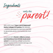 Collagen Glow Strawberry Smoothie