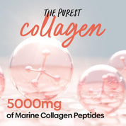 Marine Collagen Peptides